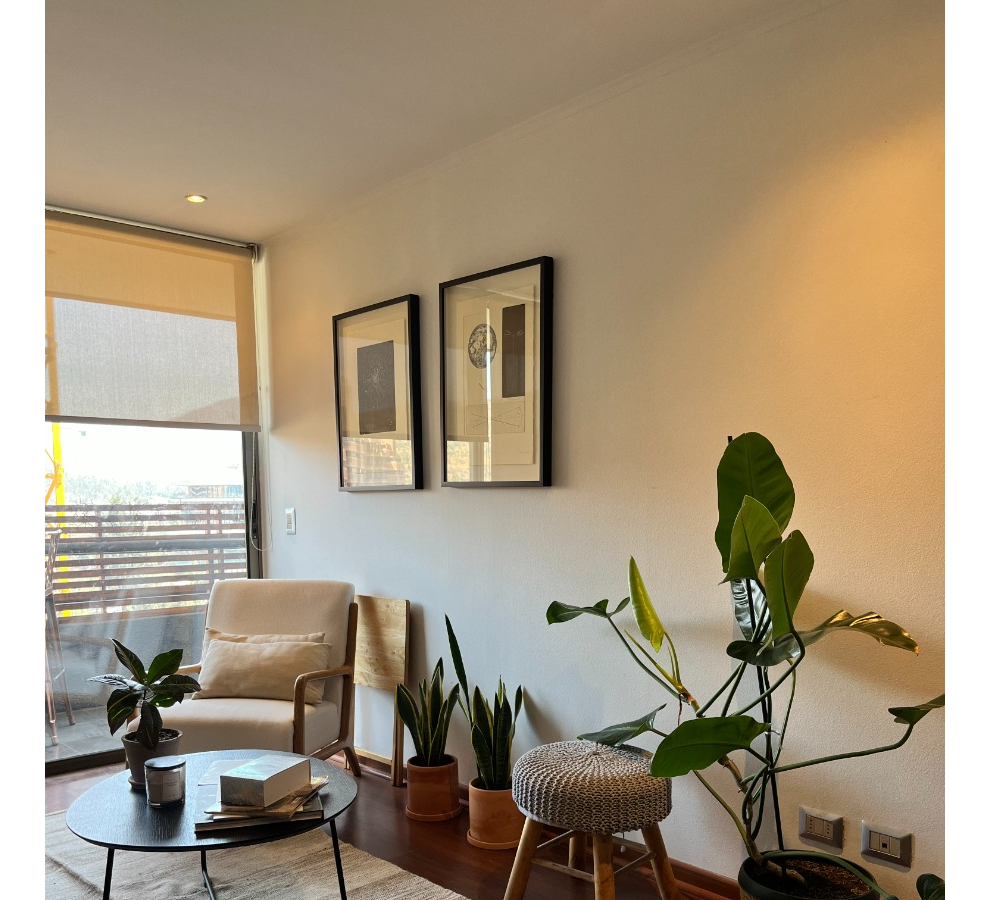 Arriendo Departamento NO 2D en suite 2B 1E Parque Bicentenario - Vitacura