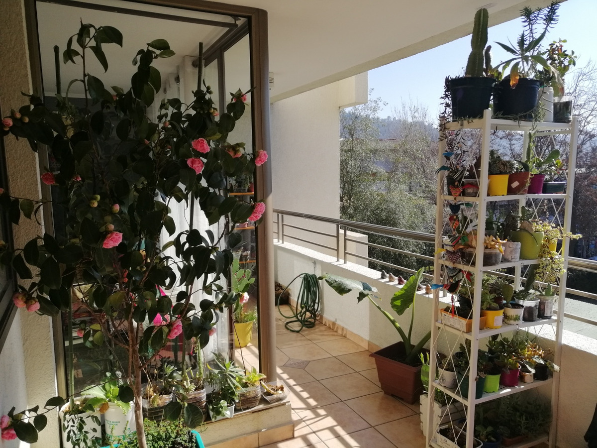 Arriendo Departamento 2D Centro Financiero - Las Condes