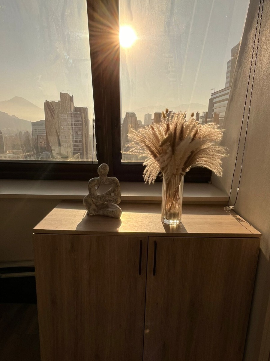Arriendo Oficina 2B Pedro de Valdivia - Providencia