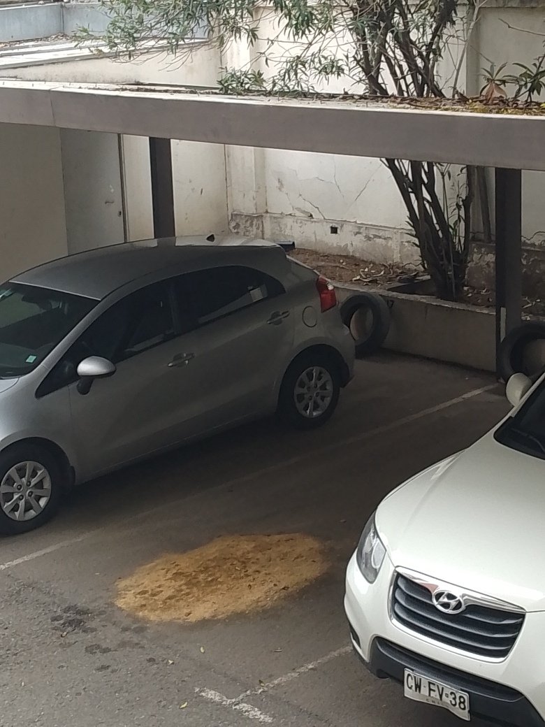 Venta Departamento 4D 3B 1E Campus Oriente - Providencia