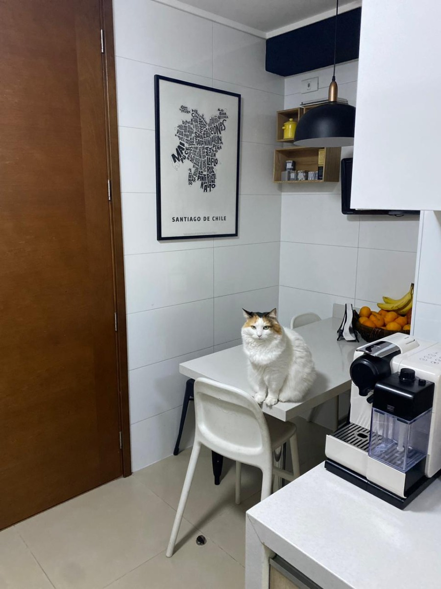 Venta Departamento P 4D en suite Walk-in cl&oacute;set 4B 2E 1B Tabancura - Vitacura