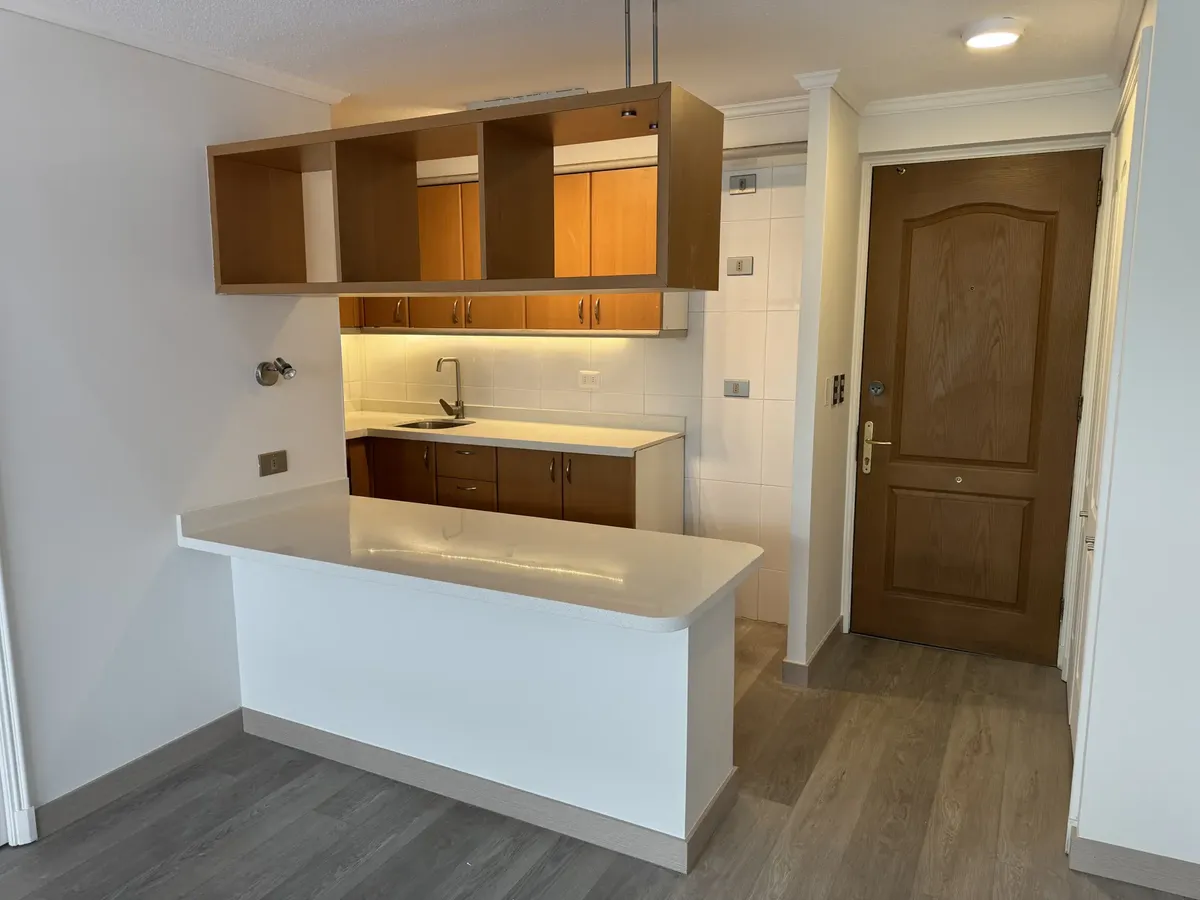 Venta Departamento S 1D WI cl&oacute;set Suite 1B 1E 1Bd  - Providencia