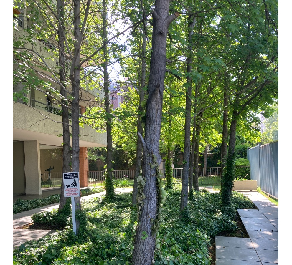 Venta Departamento P 2D en suite Walk-in cl&oacute;set 2B 1E 1B  - Providencia