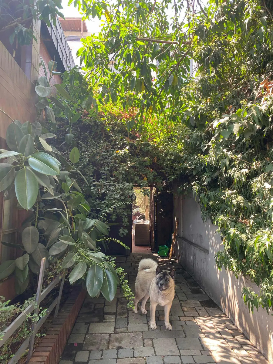 Arriendo Casa 4D 3B 2E Tabancura - Vitacura
