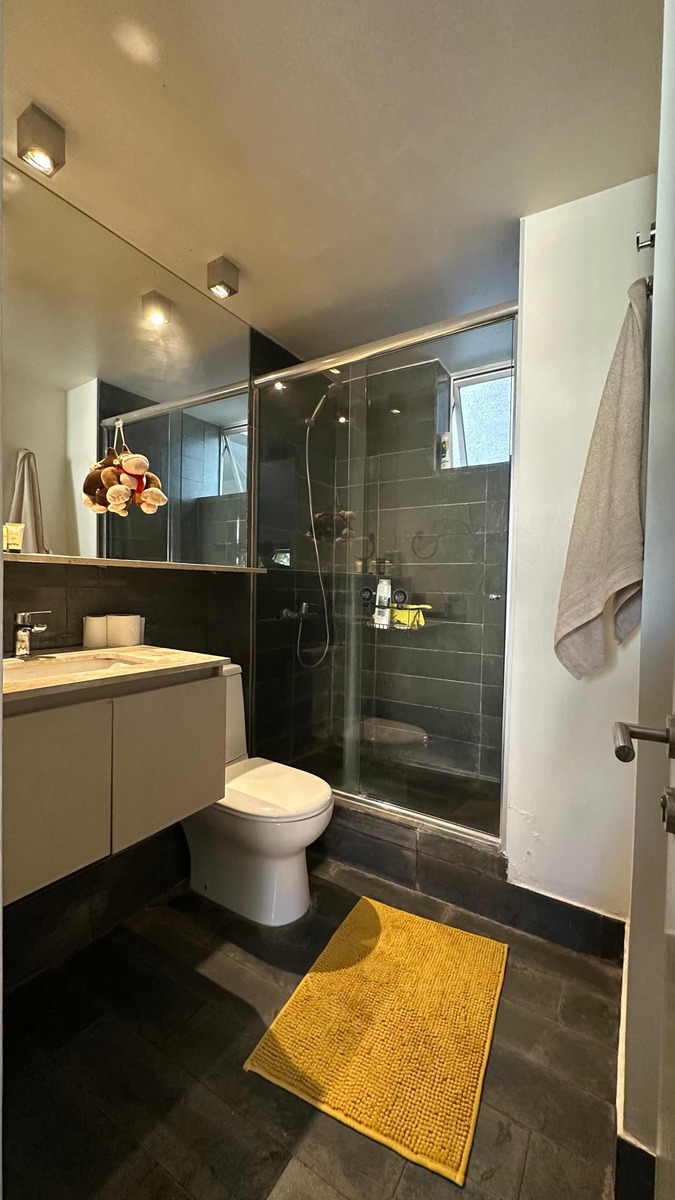 Venta Departamento 1D 2B 1E In&eacute;s de Su&aacute;rez - Providencia