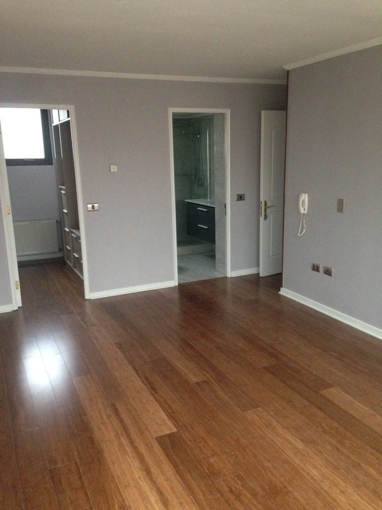 Arriendo Departamento 4D  - Providencia