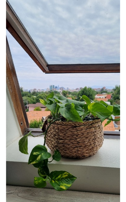 Venta Departamento NP 1D en suite 1B 1E 1B Los Dominicos - Las Condes