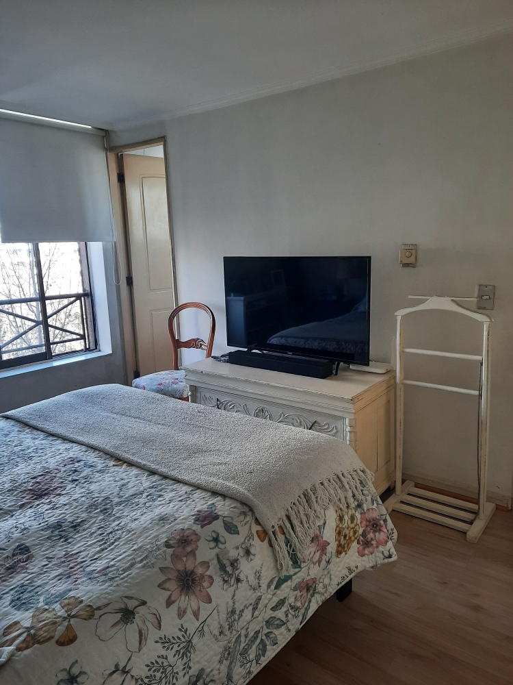 Venta Departamento 2D 2B 1E In&eacute;s de Su&aacute;rez - Providencia