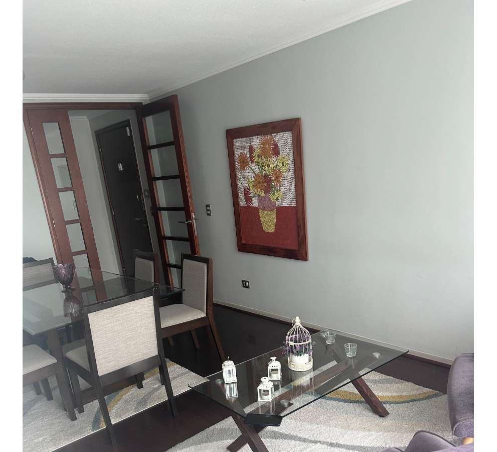 Arriendo Departamento O 2D en suite Walk-in cl&oacute;set 2B 1E 1B Los Leones - Providencia