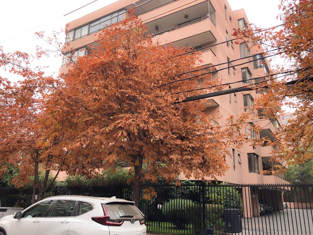 Venta Departamento SP 2D en suite 2B 1E 1B Los Leones - Providencia