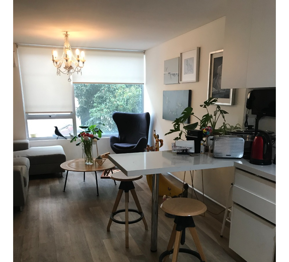 Venta Departamento 1D 1B 1E 1B Las Lilas - Providencia