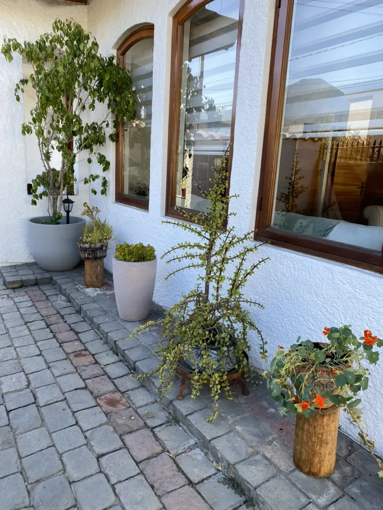 Venta Casa NP 4D WI cl&oacute;set Suite 3B 2E 1Bd Estadio Manquehue - Vitacura