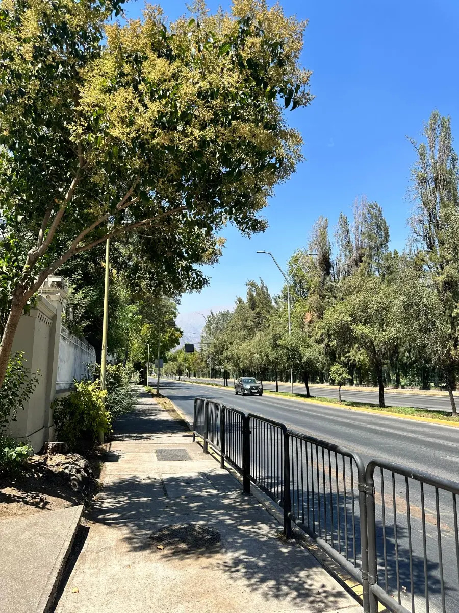 Venta Departamento SP 3D 2B 1E 1Bd Parque Padre Alberto Hurtado - Las Condes