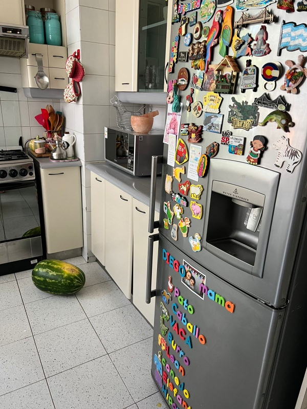 Arriendo Departamento SP 4D 4B 2E 1B Jard&iacute;n Del Este - Vitacura