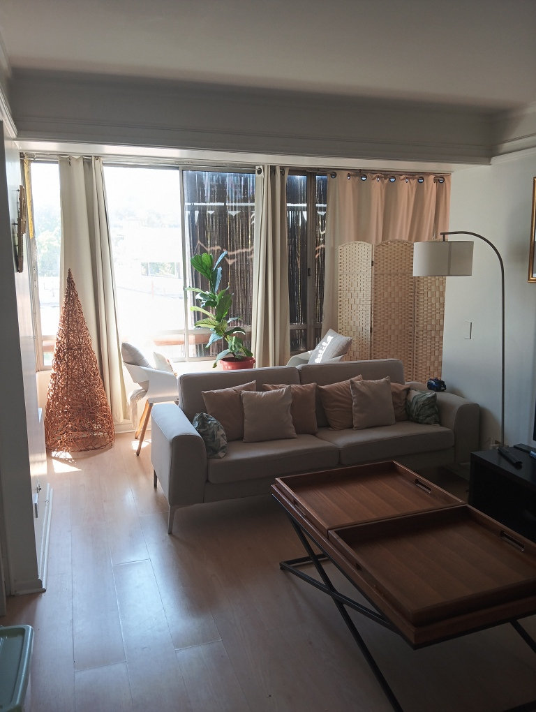 Arriendo Departamento 2D 2B 1E Los Leones - Providencia