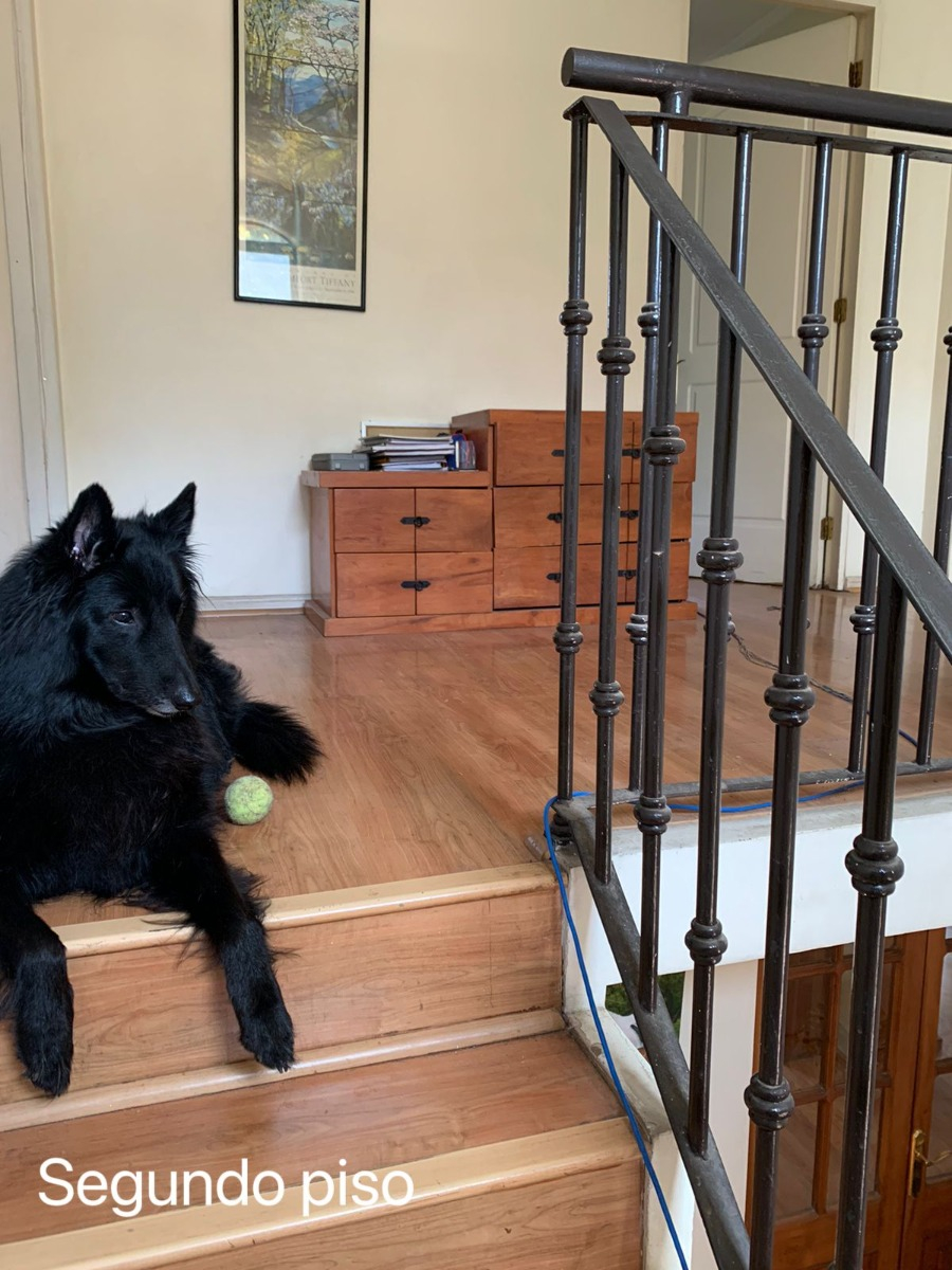 Venta Casa O 6D 4B 2E 1B La Dehesa - Lo Barnechea