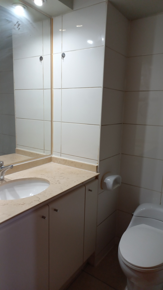 Venta Departamento 2D 2B In&eacute;s de Su&aacute;rez - Providencia