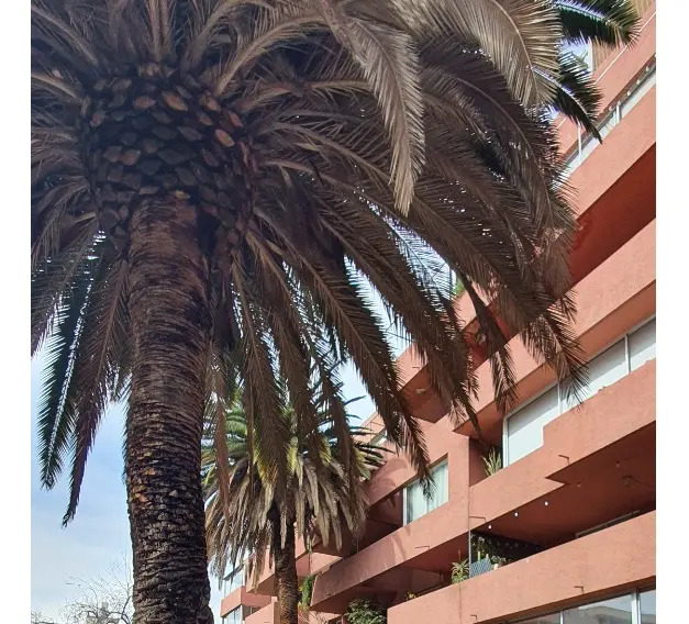 Venta Departamento 4D 3B 1E 2B Los Leones - Providencia