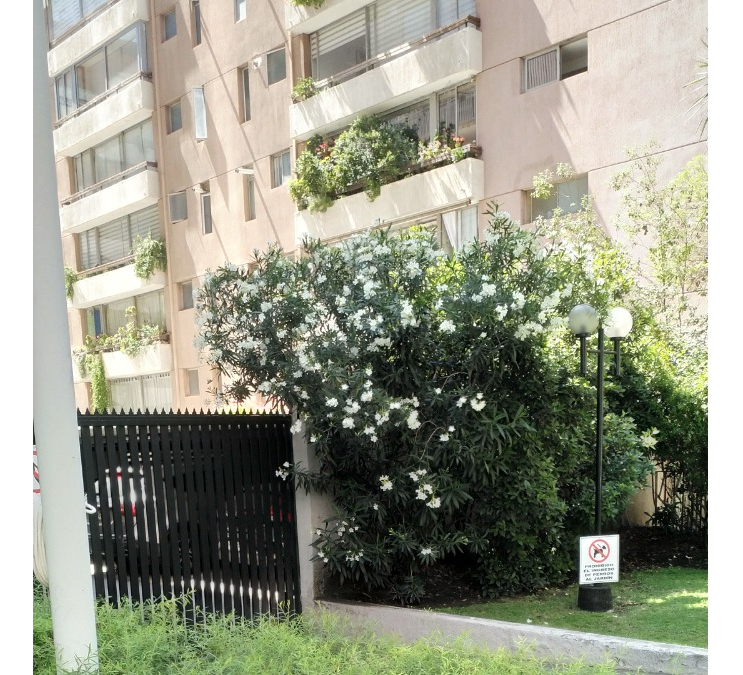Arriendo Departamento SO 3D 3B 1E Barrio El Golf - Las Condes