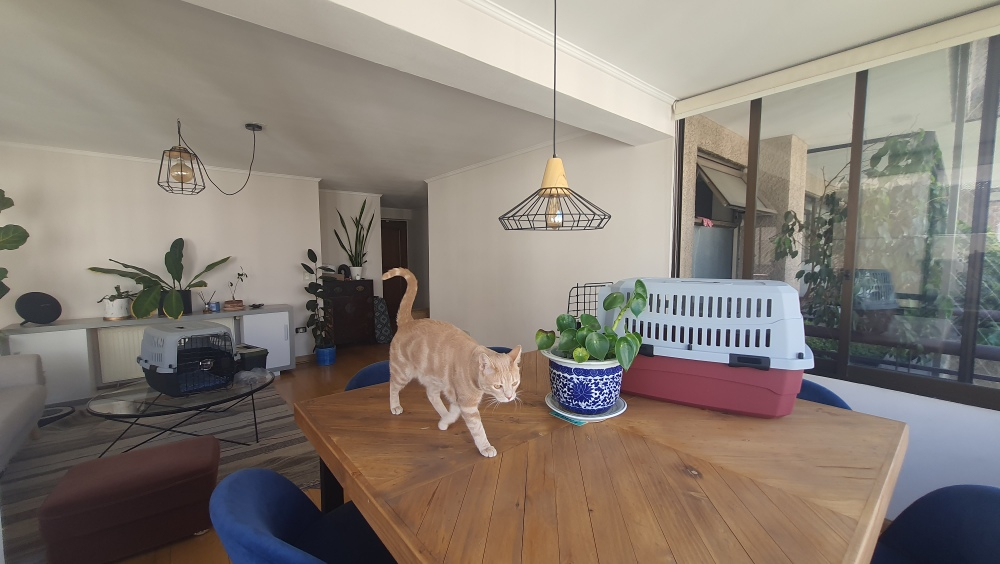 Arriendo Departamento 3D 3B 1E 1B Parque Bicentenario - Vitacura