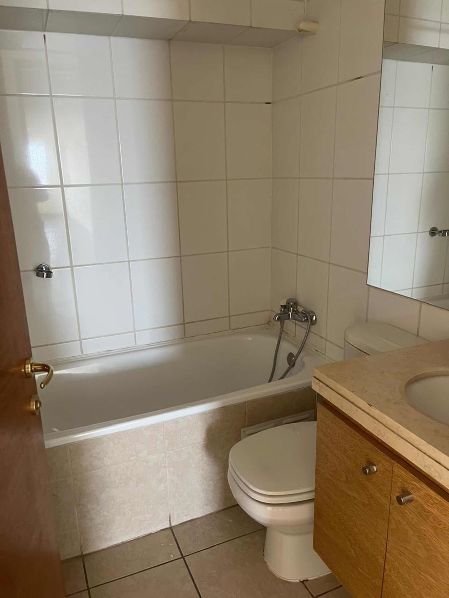 Arriendo Departamento SO 4D 4B 2E 1B Parque Bicentenario - Vitacura