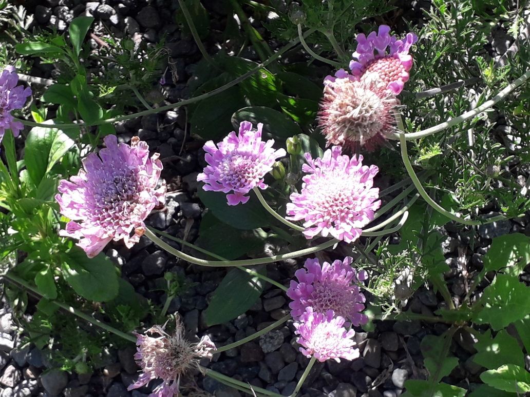 Venta Departamento 4D 1B In&eacute;s de Su&aacute;rez - Providencia