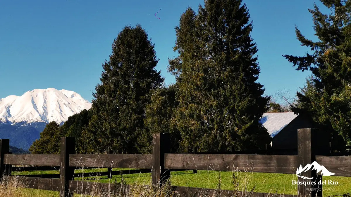 Parcela Bosque Nativo y R&iacute;o con Rol propio 5000m - Puerto Varas