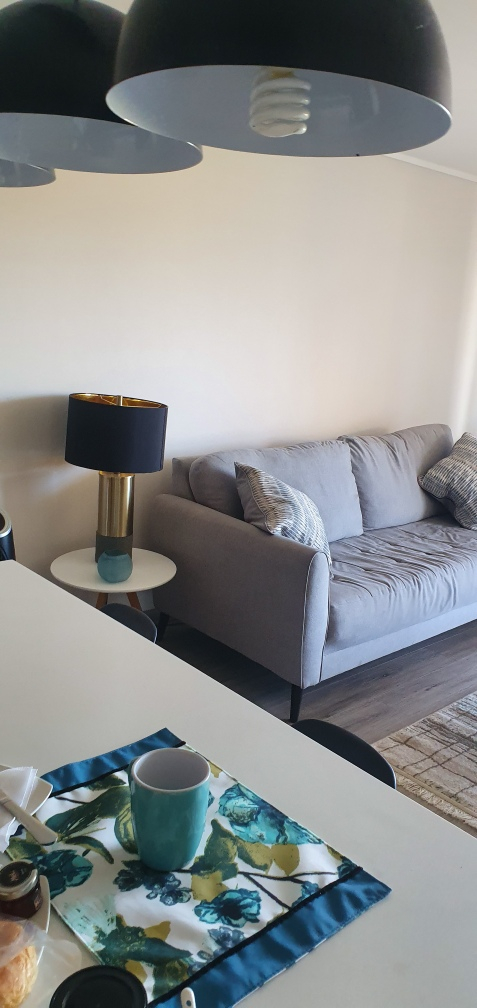 Arriendo Departamento 1D 1B 1E 1B Los Leones - Providencia