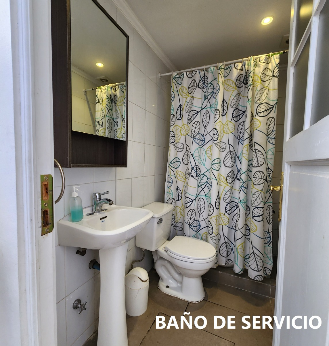 Venta Casa NO 3D en suite Walk-in cl&oacute;set 4B 2E 3B Pedro de Valdivia Norte - Providencia