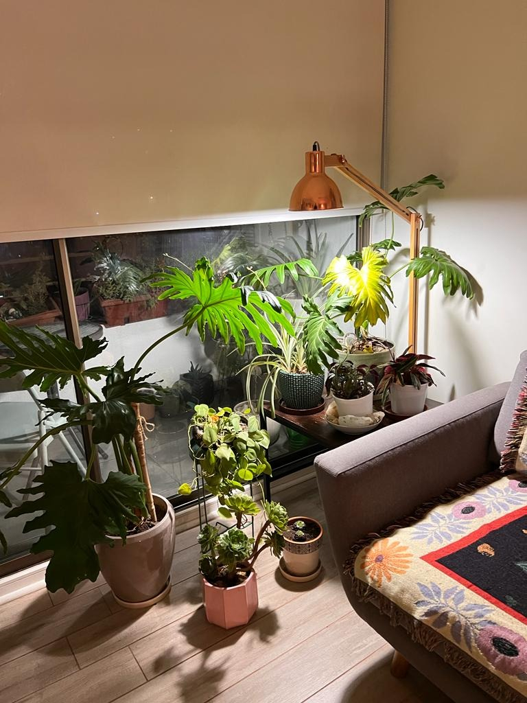 Arriendo Departamento N 2D en suite 2B 1E Metro Monse&ntilde;or Eyzaguirre - &Ntilde;u&ntilde;oa