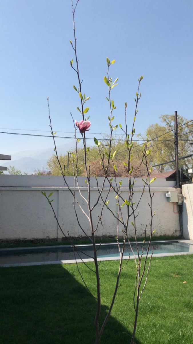 Arriendo Casa P 4D en suite Walk-in cl&oacute;set 3B 2E 1B Rotonda Atenas - Las Condes