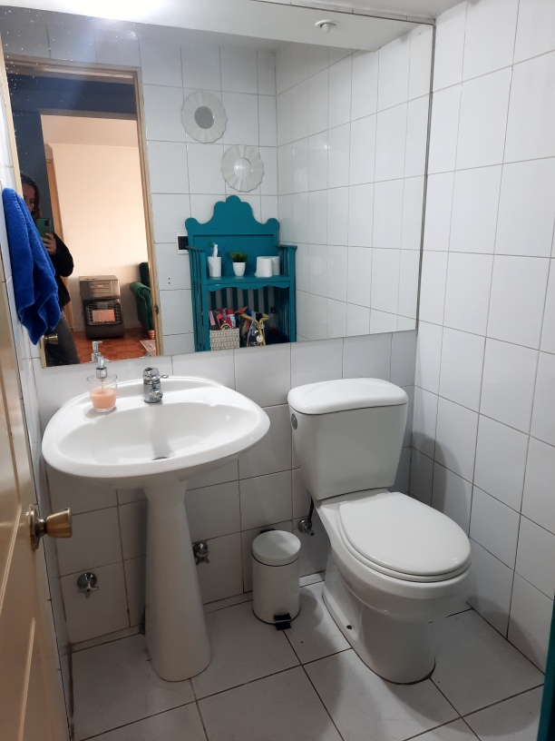 Venta Departamento 2D 2B 1E In&eacute;s de Su&aacute;rez - Providencia