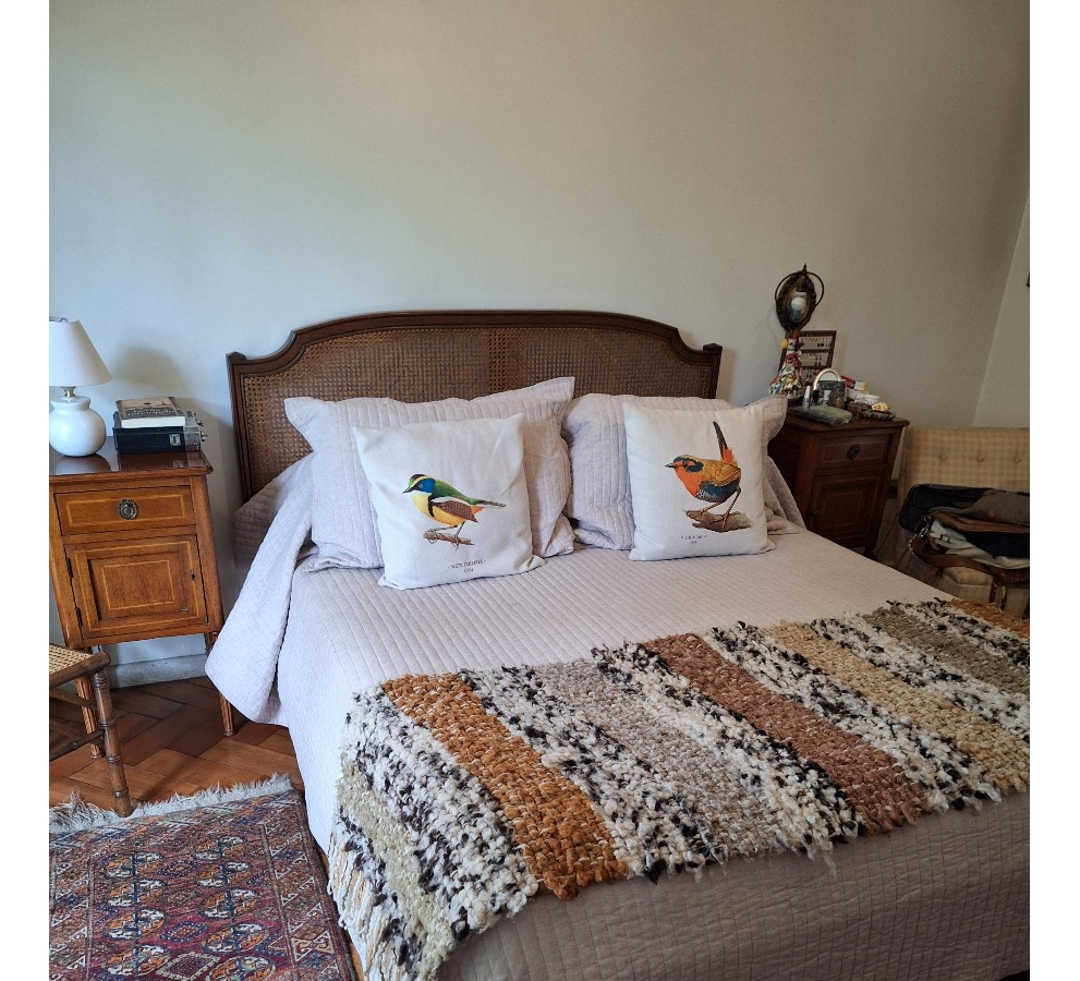 Venta Casa NOSP 5D en suite 3B 3E 1B P&iacute;o XI - Vitacura