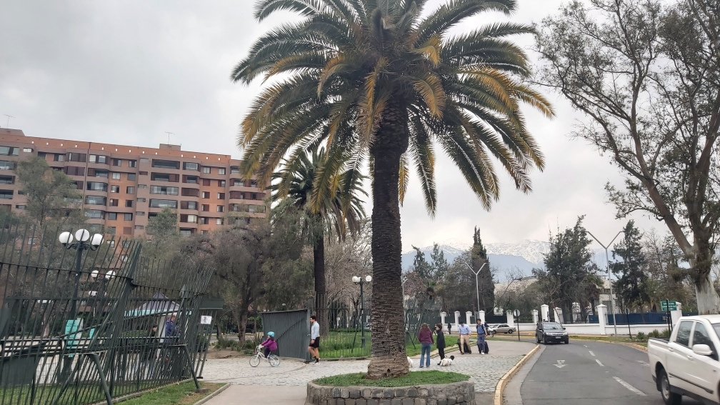 Venta Departamento SO 4D en suite Walk-in cl&oacute;set 3B 1E 1B In&eacute;s de Su&aacute;rez - Providencia