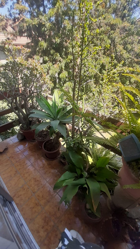 Venta Departamento 4D 3B 1E Plaza &Ntilde;u&ntilde;oa - &Ntilde;u&ntilde;oa