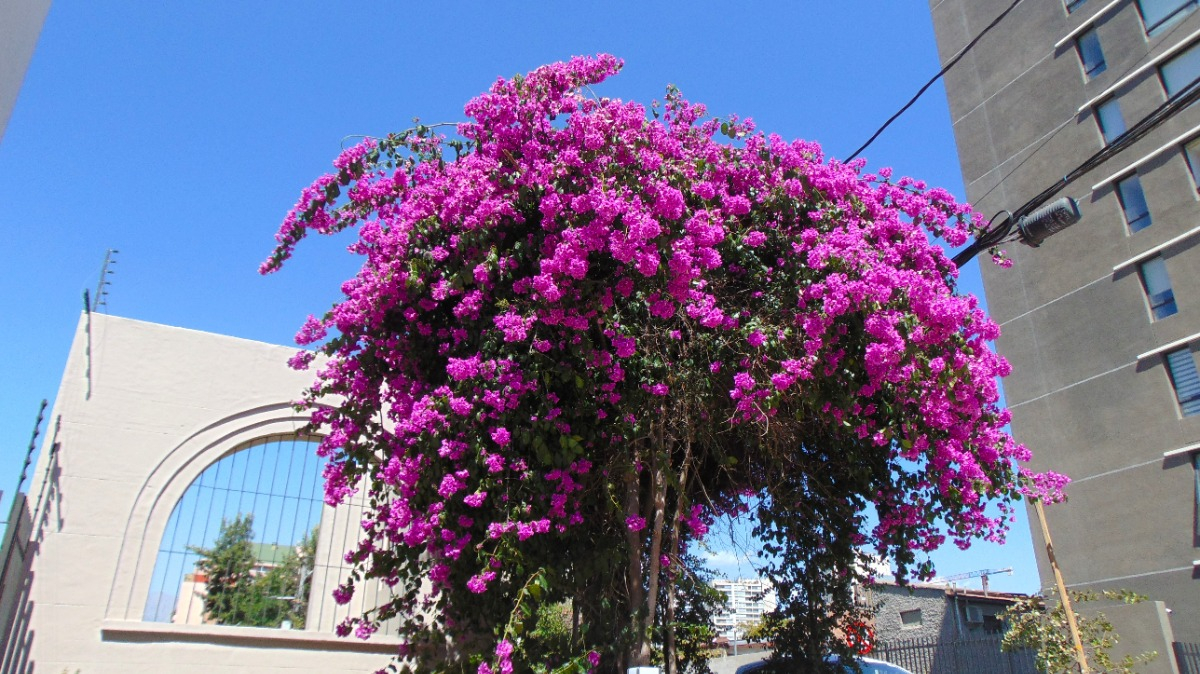 Venta Departamento NP 1B Metro Monse&ntilde;or Eyzaguirre - &Ntilde;u&ntilde;oa