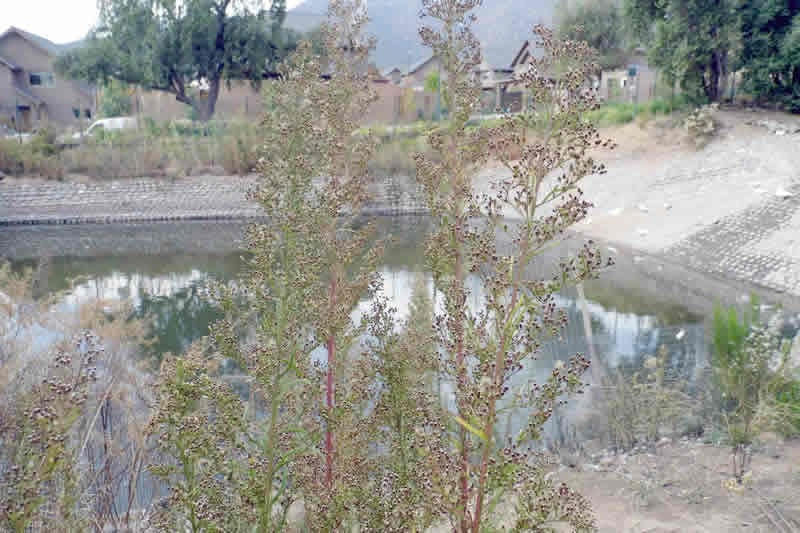 Venta Departamento N 2D en suite Walk-in cl&oacute;set 2B 1E 1B San Carlos de Apoquindo - Las Condes