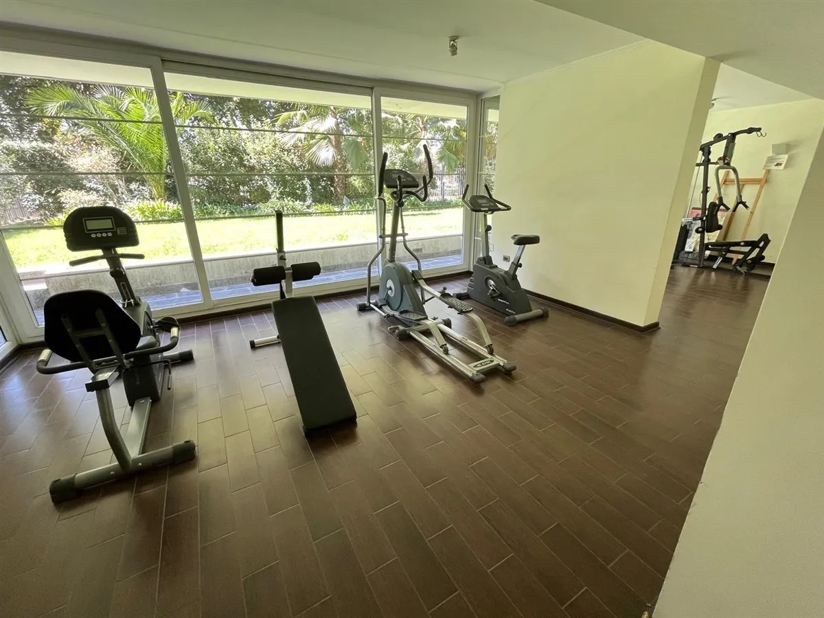 Venta Departamento SP 1D WI cl&oacute;set Suite 1B 1E 1Bd  - Providencia