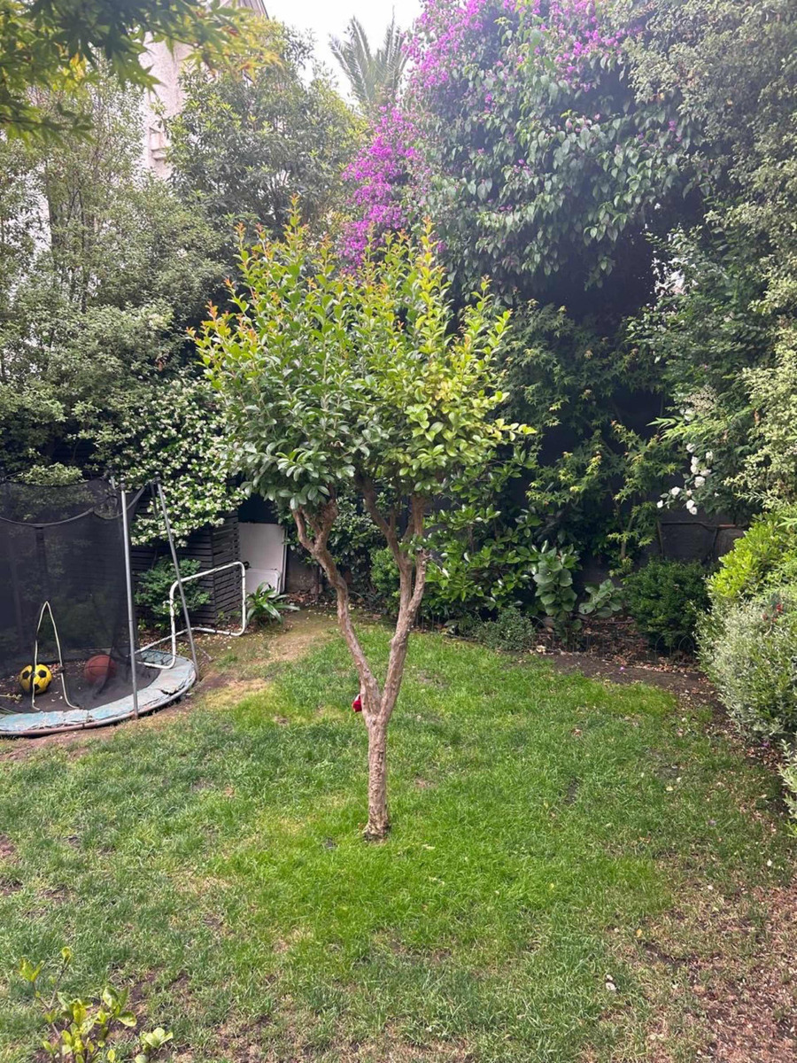 Arriendo Casa 4D 3B 2E 2B Estoril - Las Condes