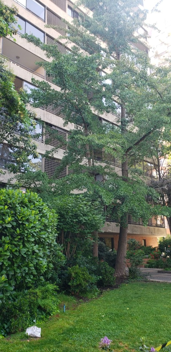 Arriendo Departamento SP 3D en suite 2B 2E 1B Metro Manquehue - Apumanque - Las Condes