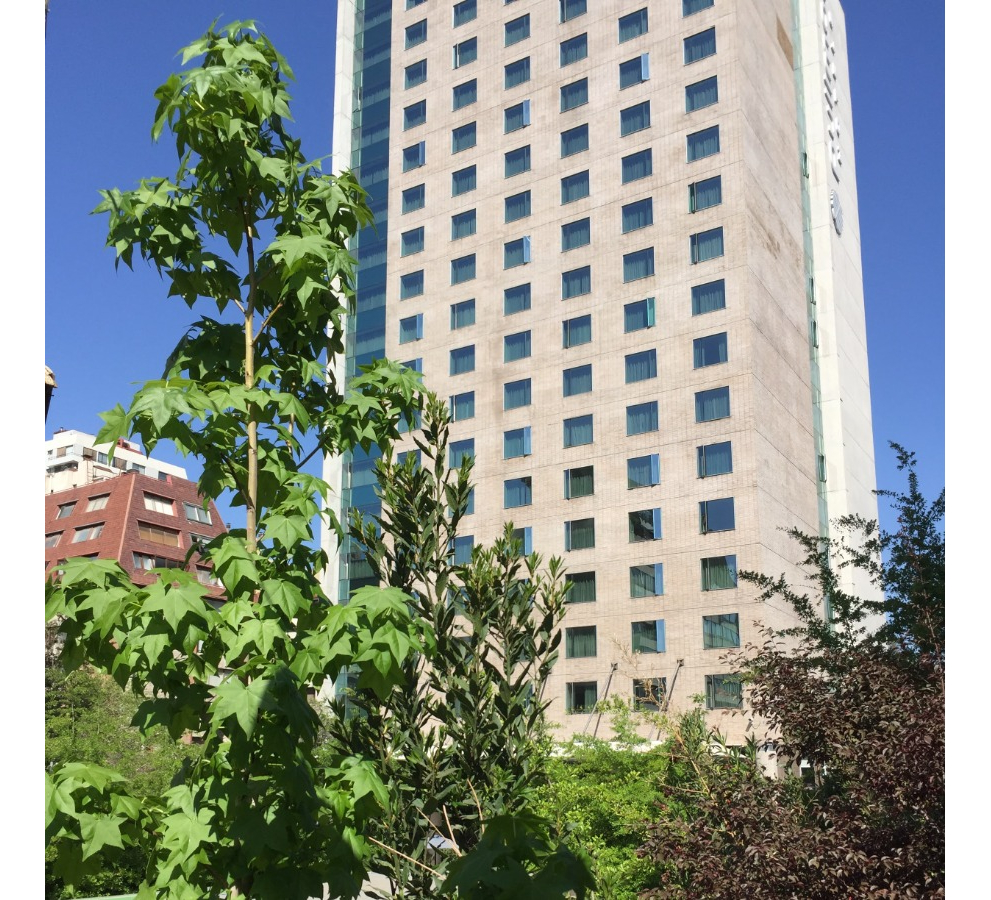 Arriendo Departamento NO 4D en suite Walk-in cl&oacute;set 3B 1E 1B Parque Bicentenario - Vitacura