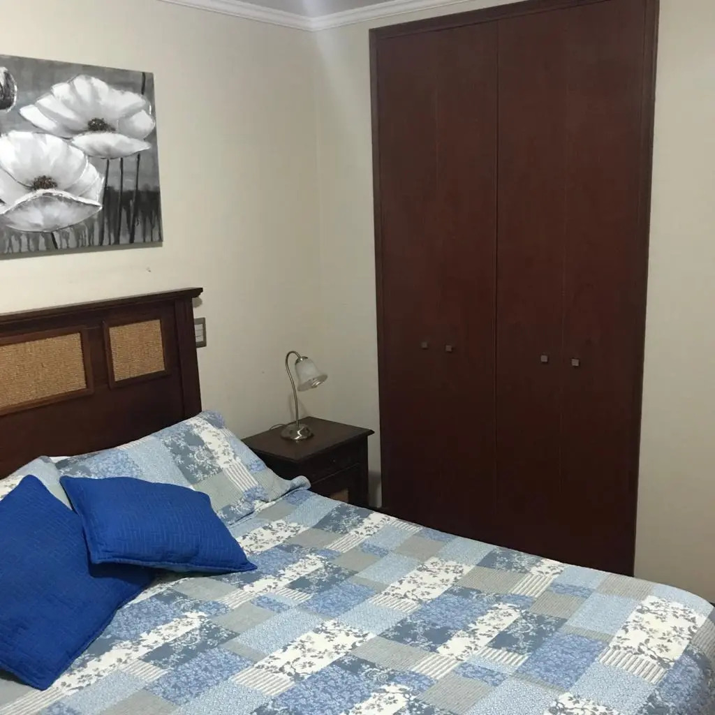 Arriendo Departamento 2D 2B 1E Las Lilas - Providencia