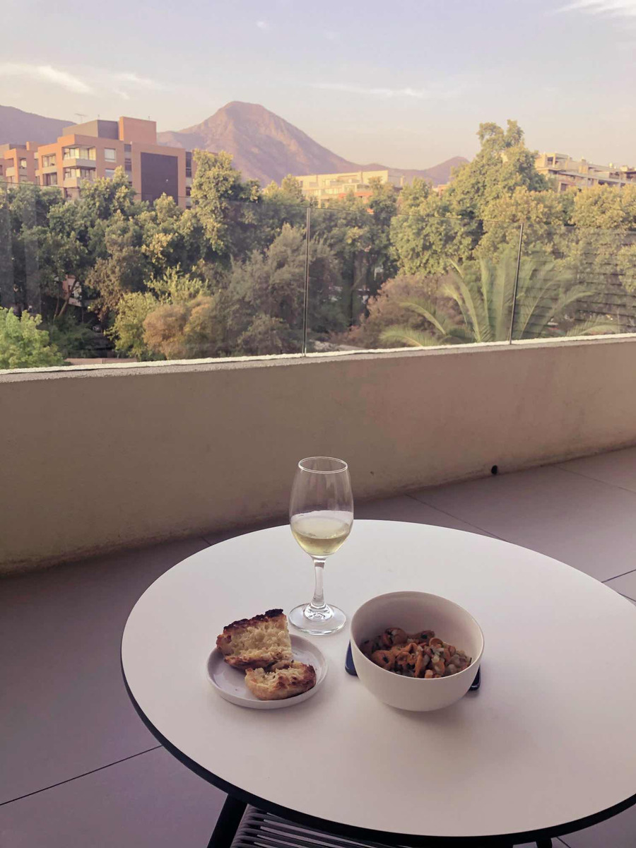 Venta Departamento 2D 2B 2E Parque Bicentenario - Vitacura