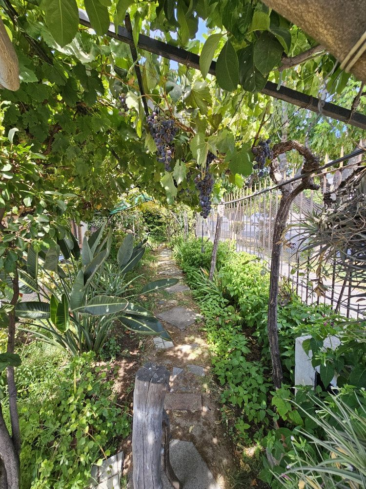 Venta Casa 4D 3B 3E Metro Sim&oacute;n Bolivar - La Reina