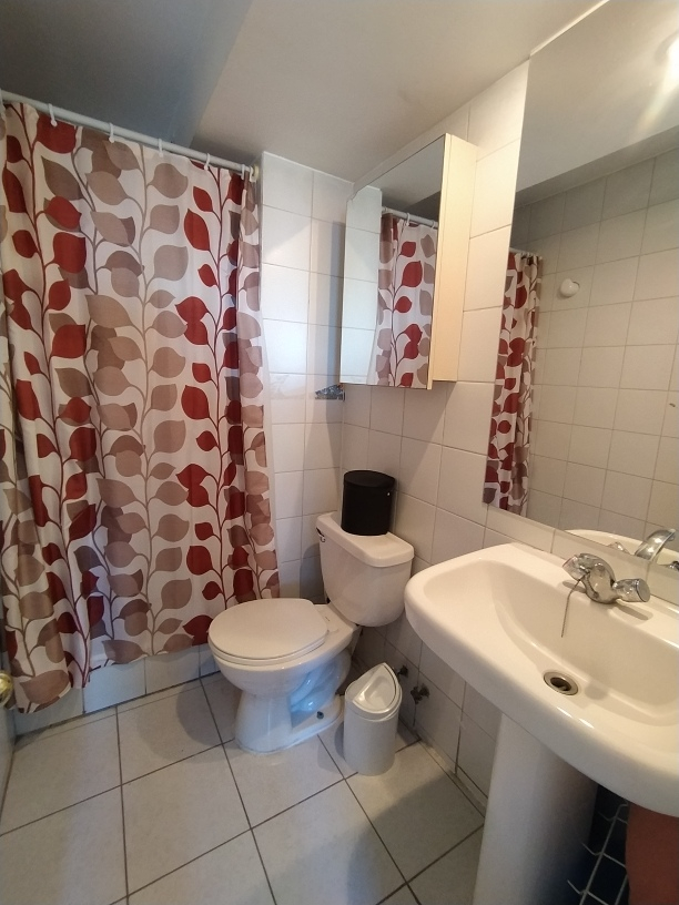 Venta Departamento 4D 4B 2E Las Lilas - Providencia