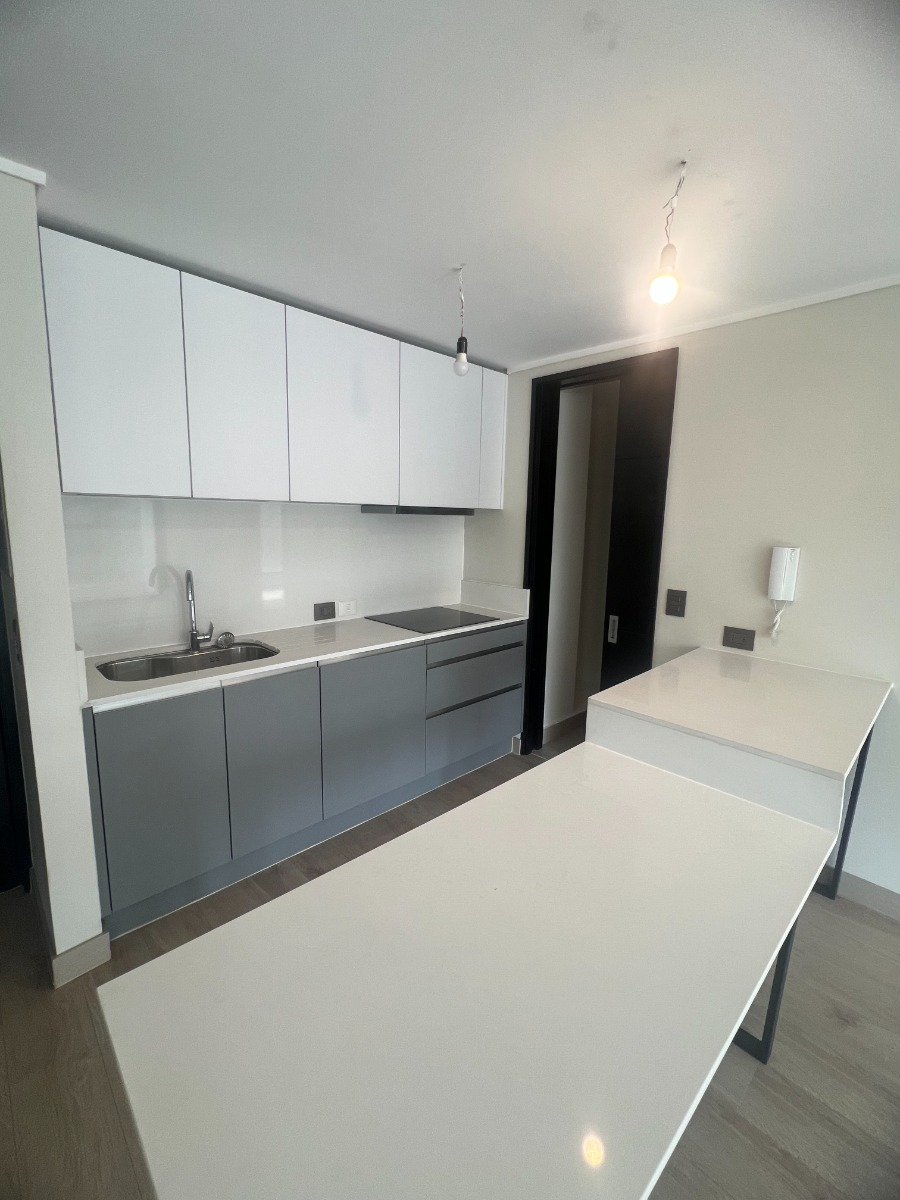 Arriendo Departamento N 2D en suite 2B 2E 2B Los Leones - Providencia