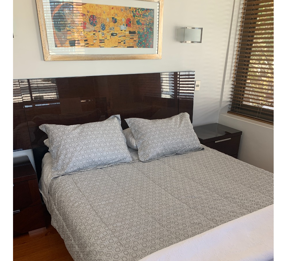 Venta Departamento SP 1D en suite 1B Pedro de Valdivia - Providencia