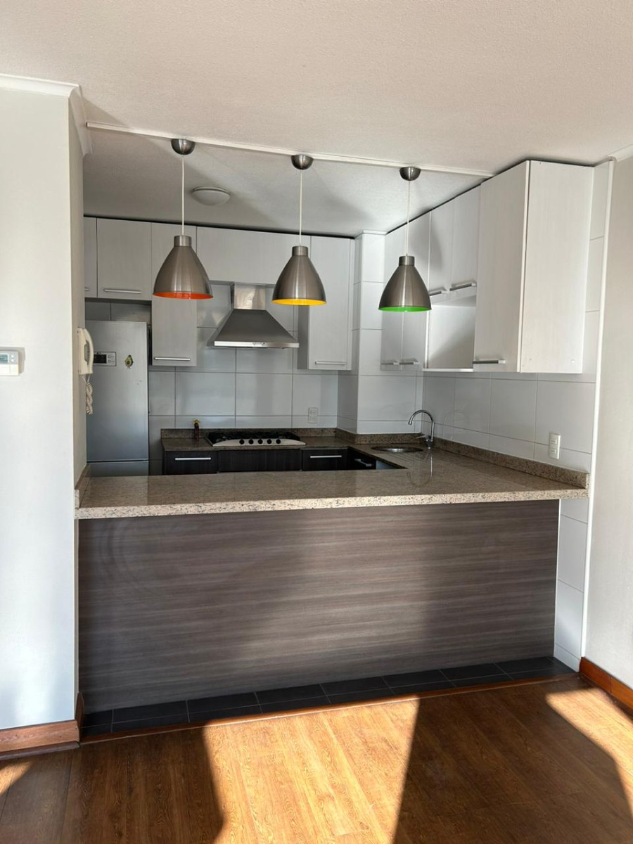 Arriendo Departamento 2D P&iacute;o XI - Vitacura