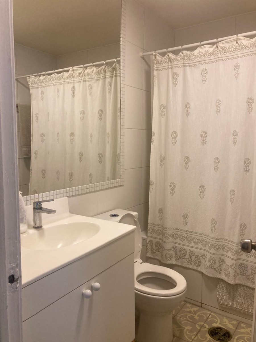 Arriendo Departamento 3D 2B Barrio Italia - Providencia
