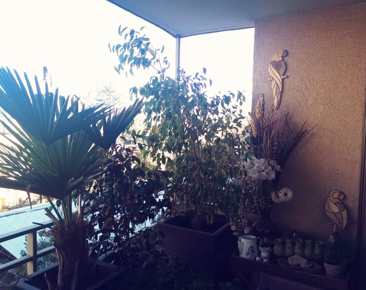 Venta Departamento NP 3D en suite Walk-in cl&oacute;set 2B 1E 1B In&eacute;s de Su&aacute;rez - Providencia